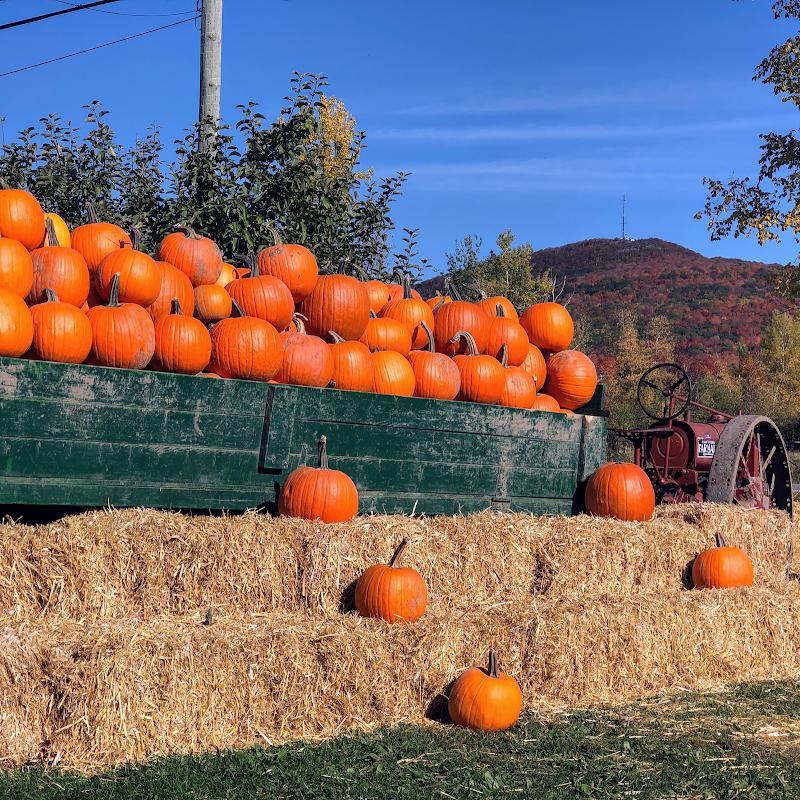 CanaGuide,prunier,pommier,Potager Mont-Rouge Halte Gourmande | Verger & Boutique | Orchard & Boutique,arbre fruitier,récolte,jardin fruitier,plantation,abricotier,pépinière,cerisier,fruits,poirier,Rougemont,arboriculture, Potager Mont-Rouge Halte Gourmande | Verger & Boutique | Orchard & Boutique - Verger à Rougemont (Quebec) | CanaGuide